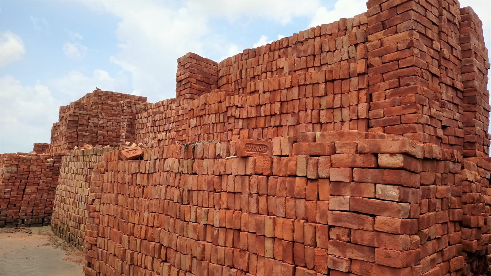 Sharanya Products Normal Red Bricks